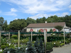outside garden center