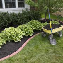 landscaping mulch